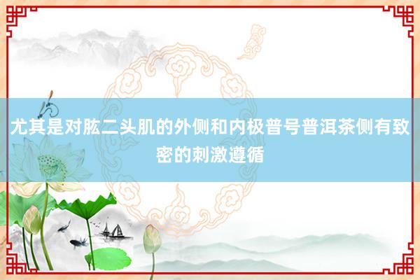 尤其是对肱二头肌的外侧和内极普号普洱茶侧有致密的刺激遵循